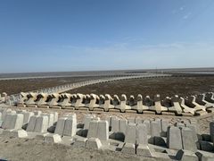 -南汇嘴观海公园