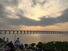 -宝安西湾红树林湿地公园