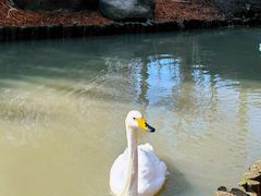 -西山漾湿地公园