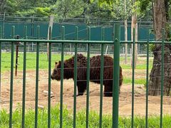 -秦皇岛野生动物园