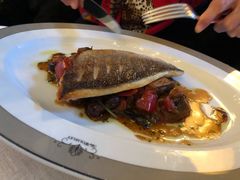 -The Wolseley