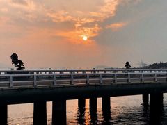 -演武大桥观景平台