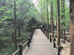 -国家植物园南园