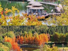 -南京银杏湖乐园