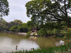 -江心屿景区
