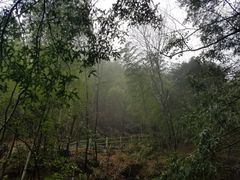 -藏龙百瀑风景区