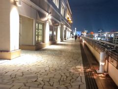 -台场海滨公园船码头