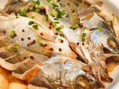 百秒焗鲈鱼-单家老院·院子里的青岛菜(沙子口店)