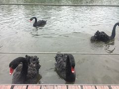 -中国移动南方基地