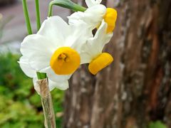 -共青国家森林公园-售票处