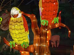 -南宫五洲植物乐园