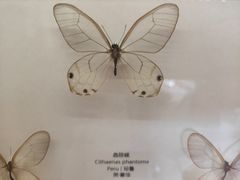 -艾溪湖湿地公园
