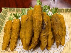 -丁老爷子苏香圆