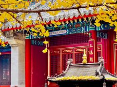 -八大处公园