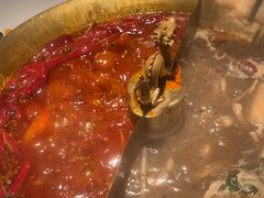 -小龙翻大江文化火锅(宽窄店)