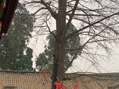 -金堂县云顶石城风景区