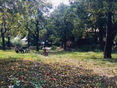 -三圣花乡旅游区