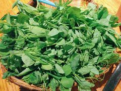 -巴蜀风·地道川菜(总店)