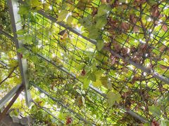 -伊隆斋(什刹海店)