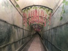 -四会奇石河风景区