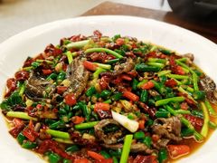 火爆鳝鱼-邓公本味卤·江湖菜(天星桥创始店)