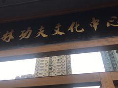 -少林功夫文化中心·独门独院