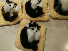 -纪念日百货(江西南昌店)