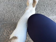 -莆田湄洲妈祖祖庙