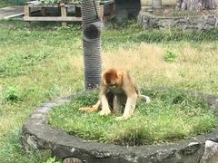 -西安秦岭野生动物园