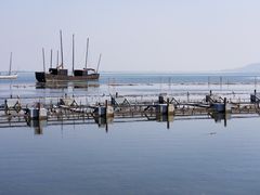 -苏州太湖国际会议中心