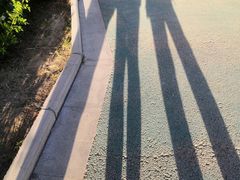 -白鹿原·白鹿仓