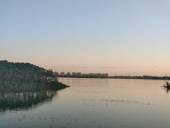 -丁香湖公园