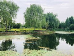 -郑东新区湿地公园