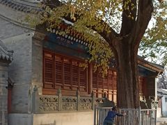 -法兴寺