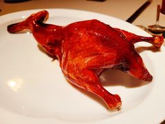 昆明乳鸭-荣轩(新荣记环球金融中心店)