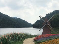-广州市石门国家森林公园