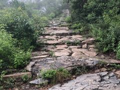 -阳台山自然风景区