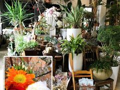 -蓝山四季西餐植物店