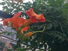 -西安交大南洋大酒店(交通大学青龙寺店)