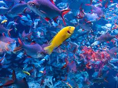 -成都浩海立方海洋公园