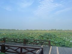 -焦岗湖旅游度假区