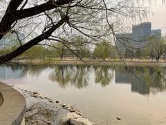 -西海子公园