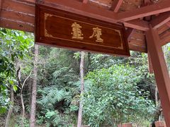 -广州白江湖森林公园