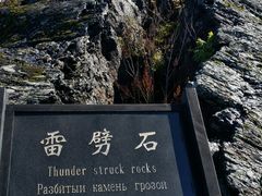 -北药泉
