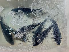 -西贝(无锡万象城店)