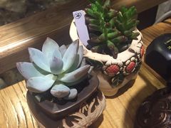 -山有花啡餐厅(常营总店)