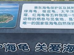 -广东惠东海龟国家级自然保护区