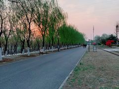 -永定河休闲森林公园