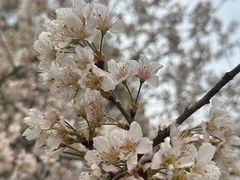 -上海吴淞炮台湾国家湿地公园