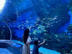 -海合安成都极地海洋公园